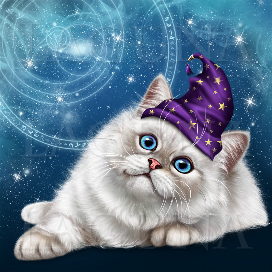 Astrologer Kitty