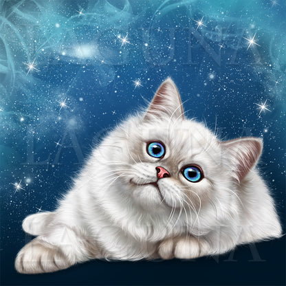 Astrologer Kitty