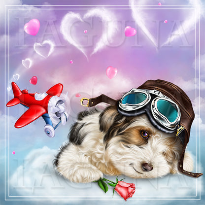 Aviator Puppy