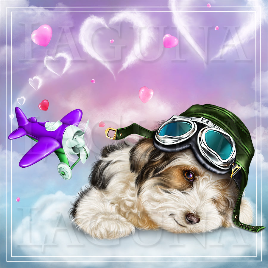 Aviator Puppy