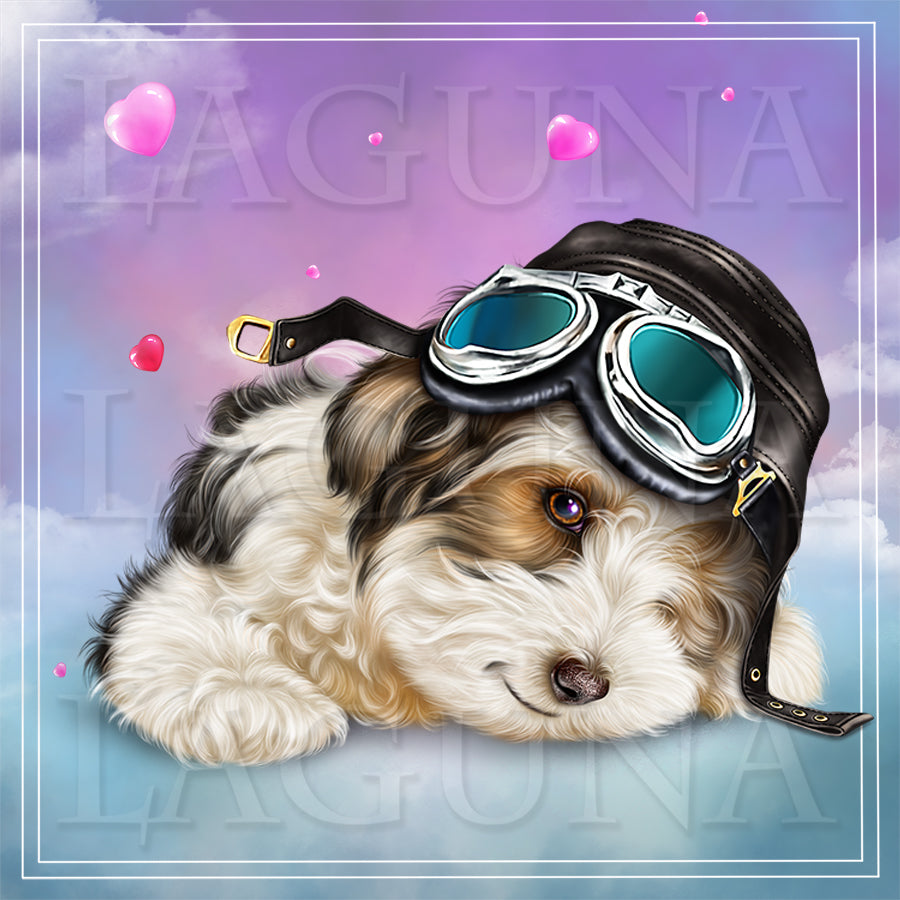 Aviator Puppy