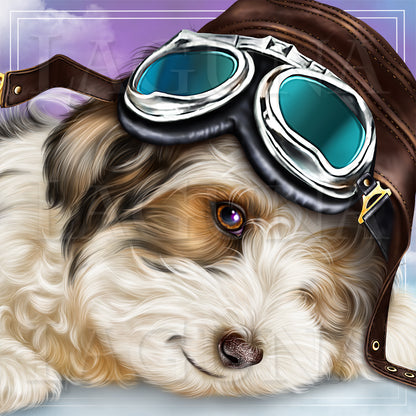 Aviator Puppy