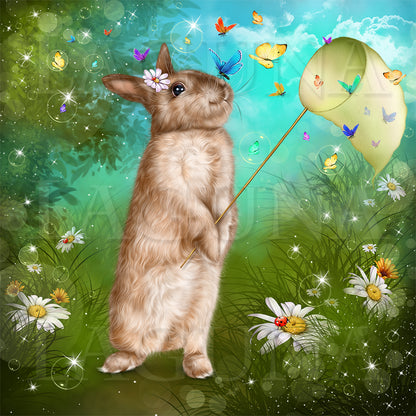 Bunny and Butterflies