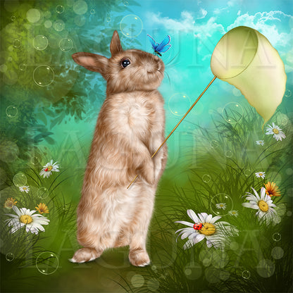 Bunny and Butterflies