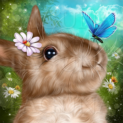 Bunny and Butterflies