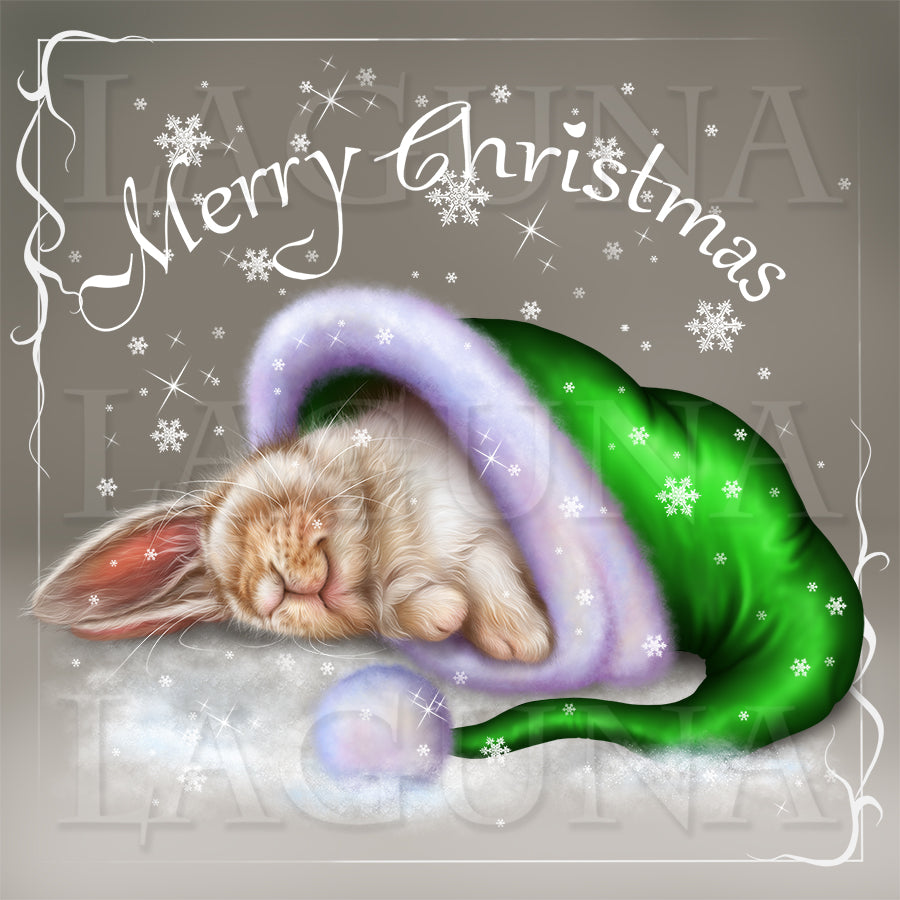 Bunny Sleeping in Santa Hat