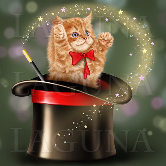 Cat in Hat