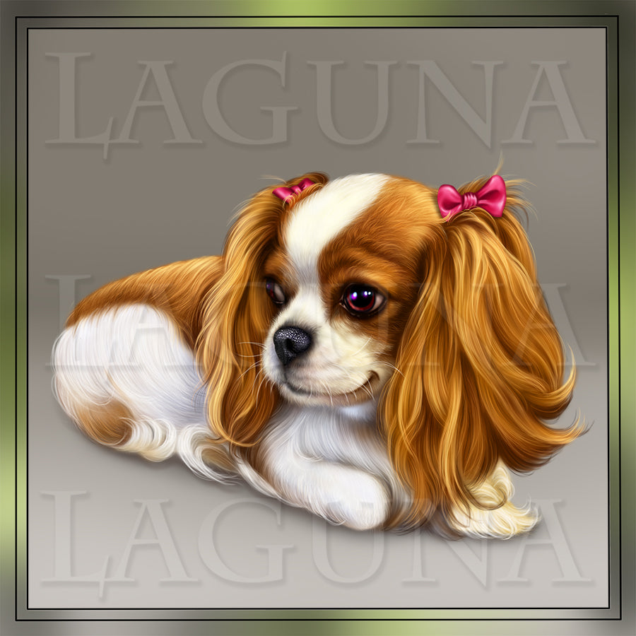 Cavalier King Charles Spaniel