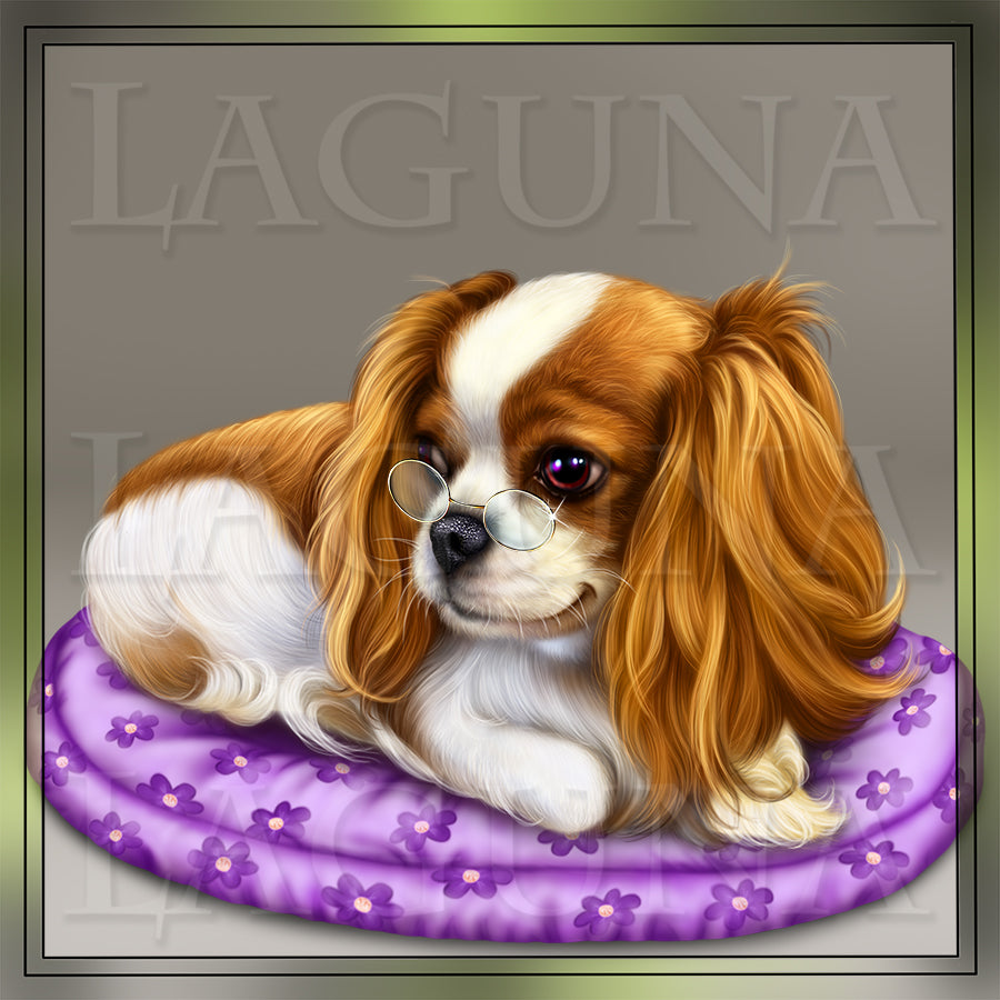 Cavalier King Charles Spaniel