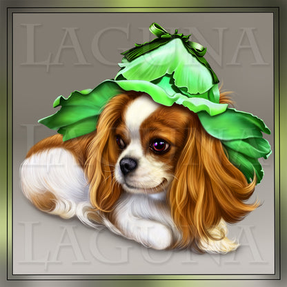 Cavalier King Charles Spaniel