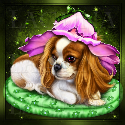 Cavalier King Charles Spaniel