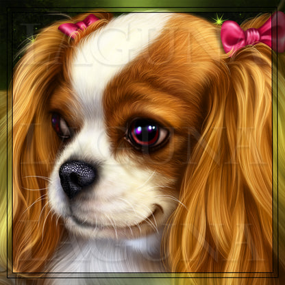 Cavalier King Charles Spaniel