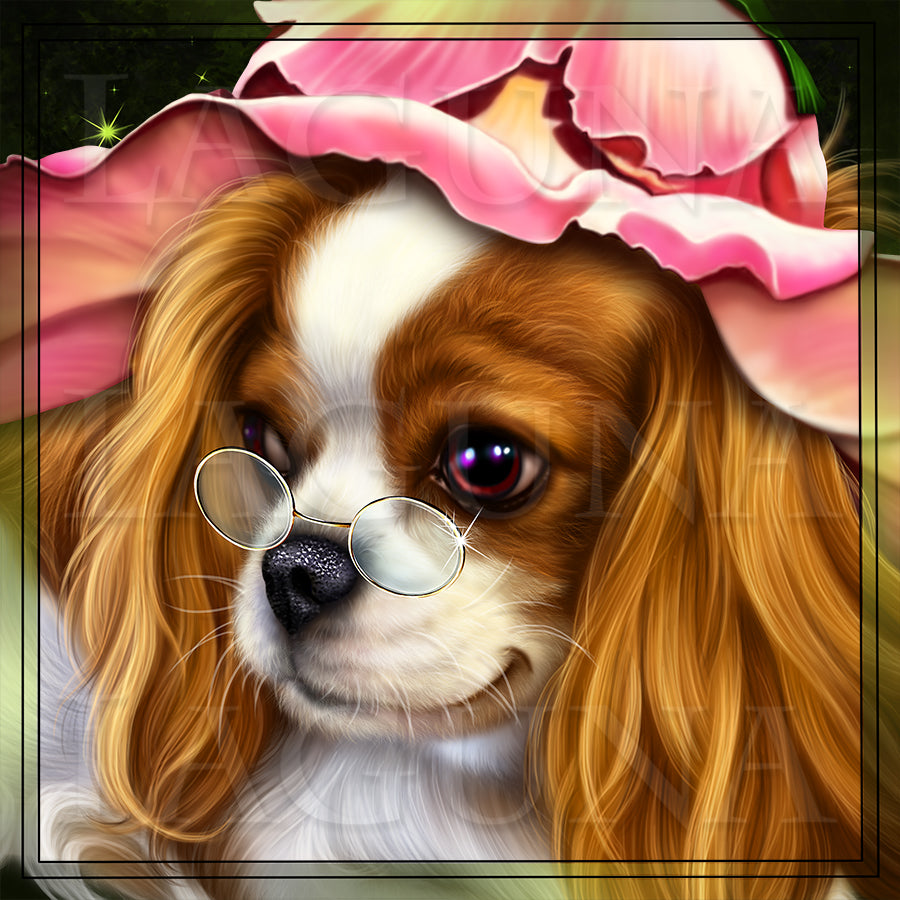 Cavalier King Charles Spaniel