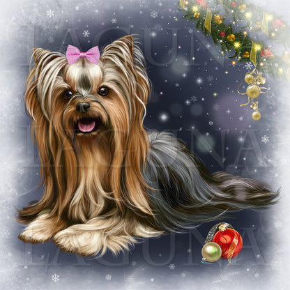 Christmas Elf (Yorkie)