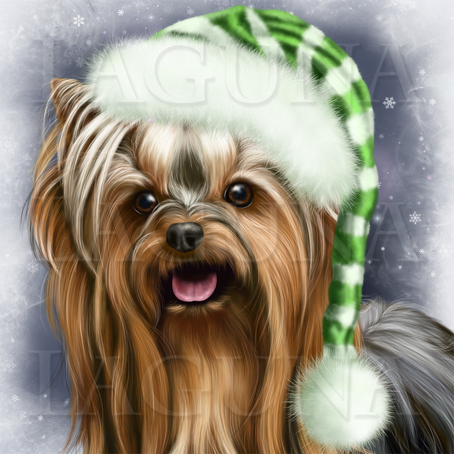 Christmas Elf (Yorkie)