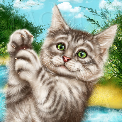 Fishing Kitty