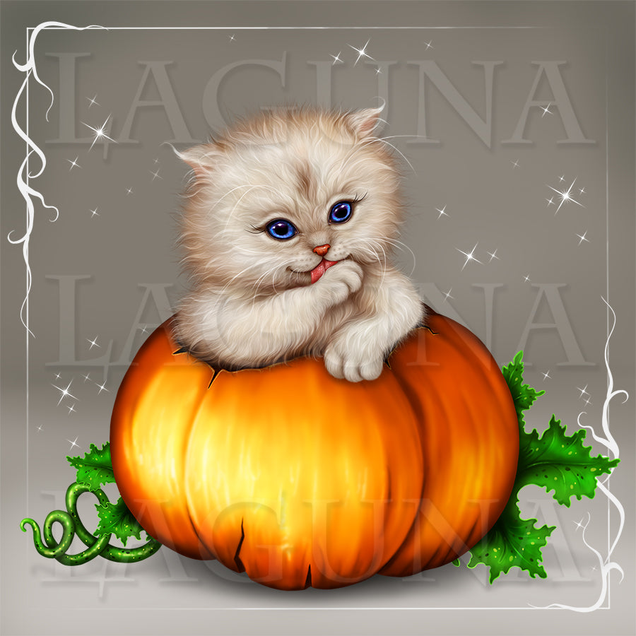 Halloween Kitty in Pumpkin