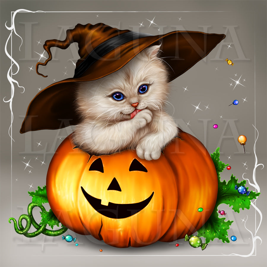 Halloween Kitty in Pumpkin