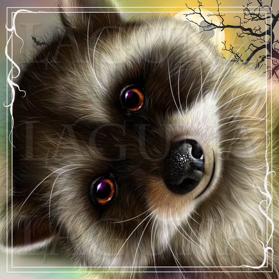 Halloween Racoon