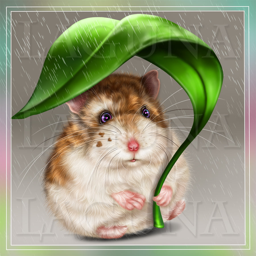 Hamster in the Rain