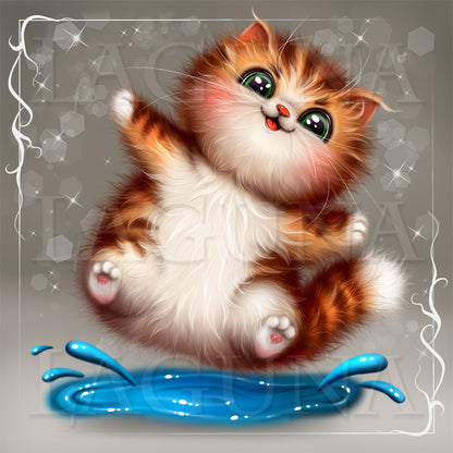 A stylized digital illustration of a fluffy orange-and-white kitten sitting on its back with paws in the air, above a bright blue splash, on a gray background with decorative white corner flourishes and sparkles.
