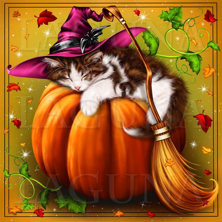 Kitten Sleeping on Pumpkin