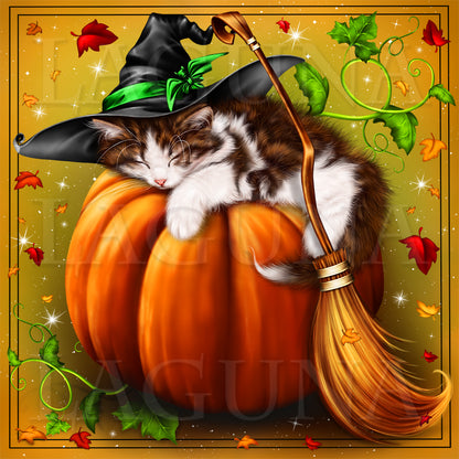 Kitten Sleeping on Pumpkin