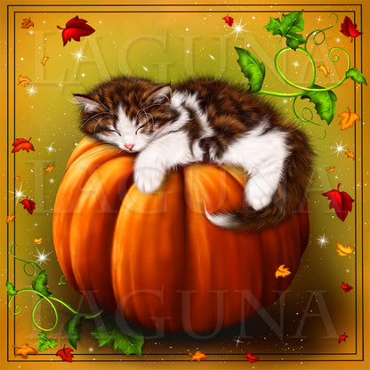 Kitten Sleeping on Pumpkin