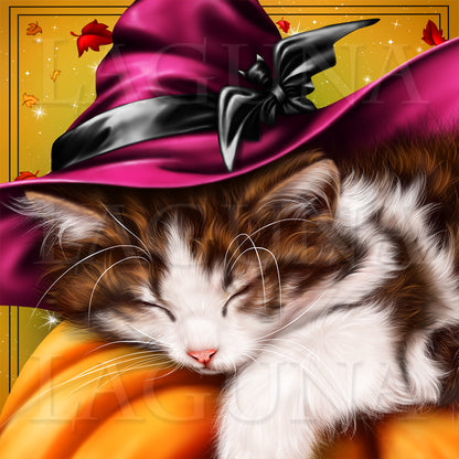 Kitten Sleeping on Pumpkin