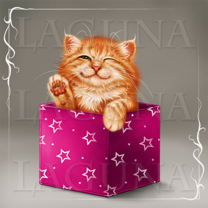 Kitty in the Gift Box