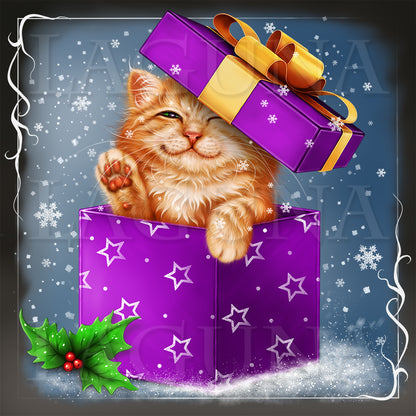 Kitty in the Gift Box