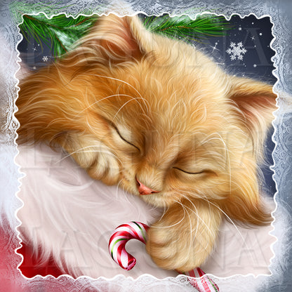 Kitty Sleeping in Santa's Hat