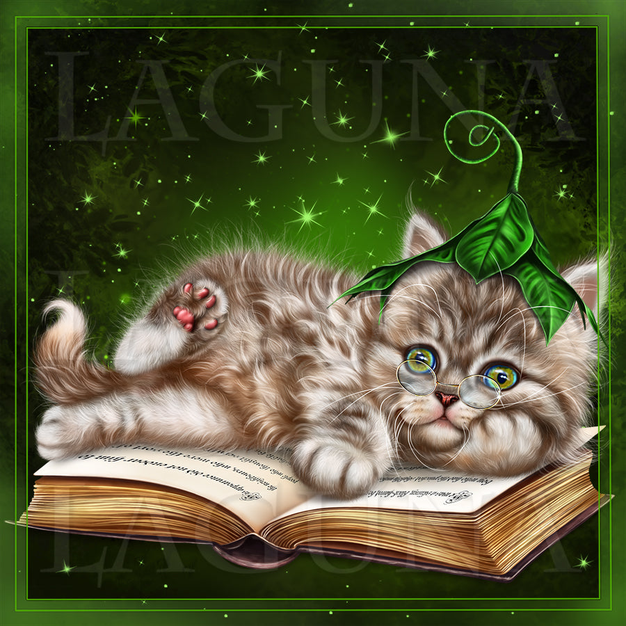 Kitty with Book