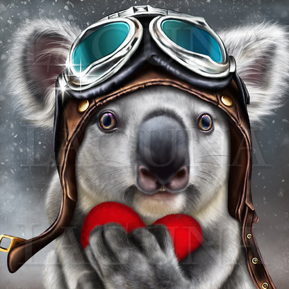 Koala Cupid