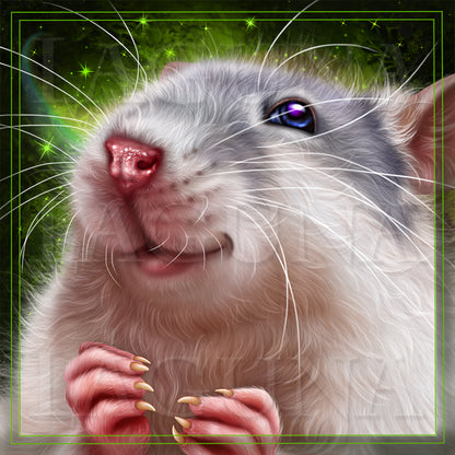 Leprechaun Rat