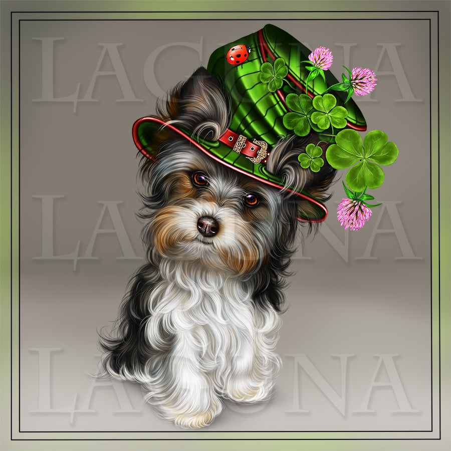 Leprechaun Yorkie with Horn