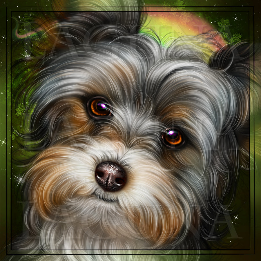 Leprechaun Yorkie with Horn