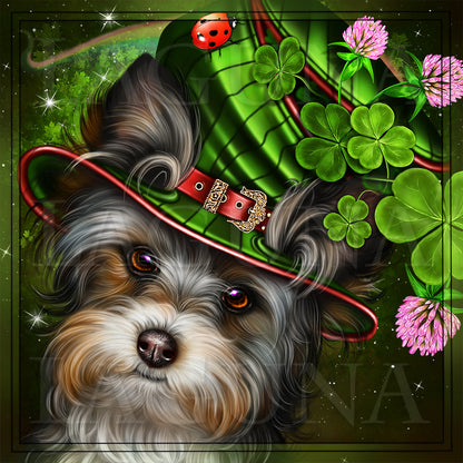 Leprechaun Yorkie with Horn