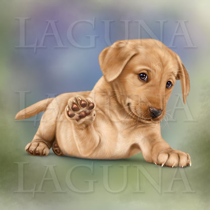 Letter to Santa (Yellow Labrador Puppy)