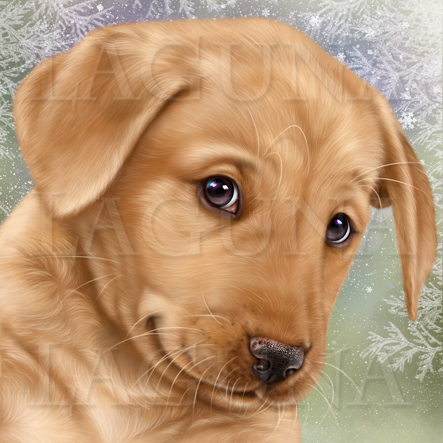 Letter to Santa (Yellow Labrador Puppy)