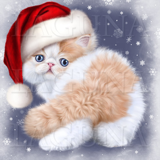 Little Angel