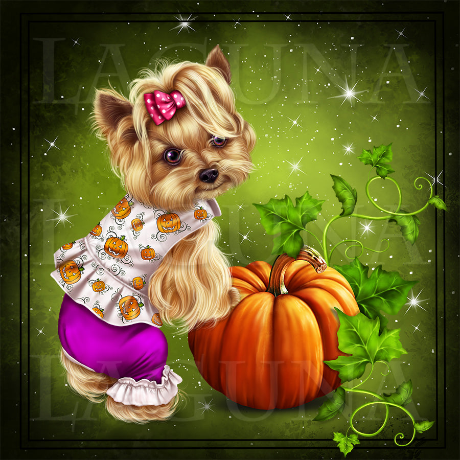 Little Pumpkin (Yorkie)