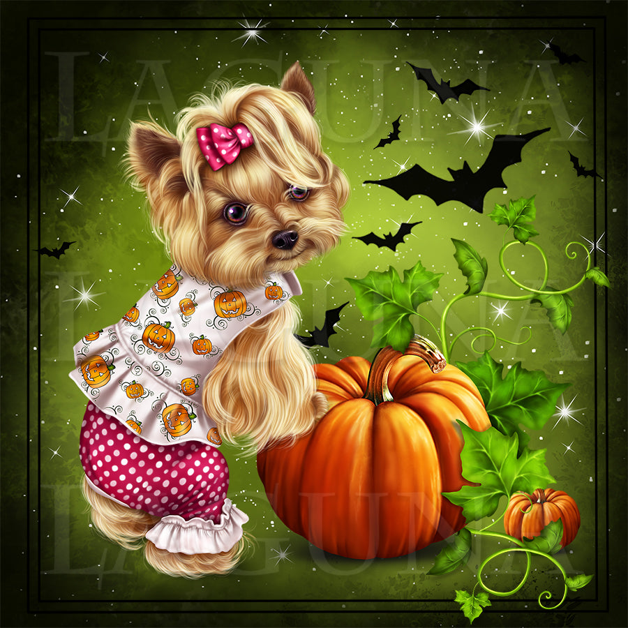 Little Pumpkin (Yorkie)