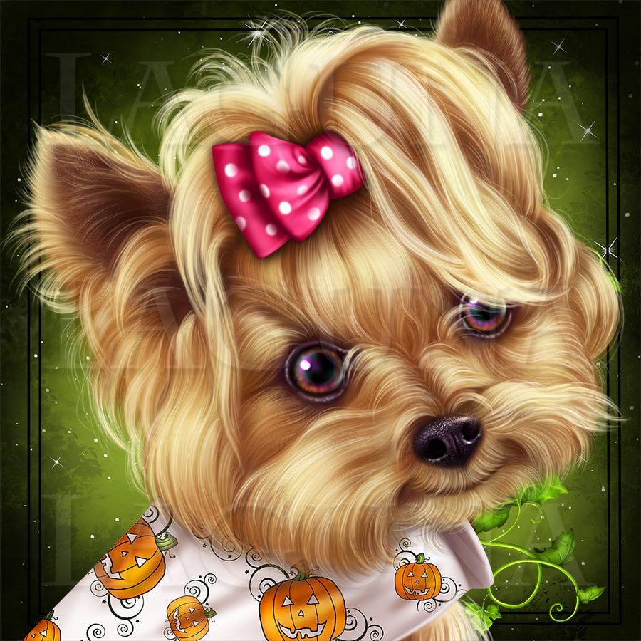 Little Pumpkin (Yorkie)