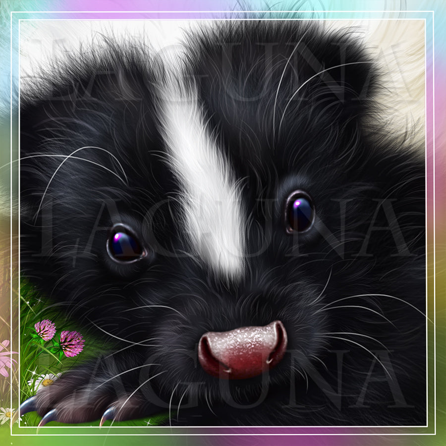 Little Skunk