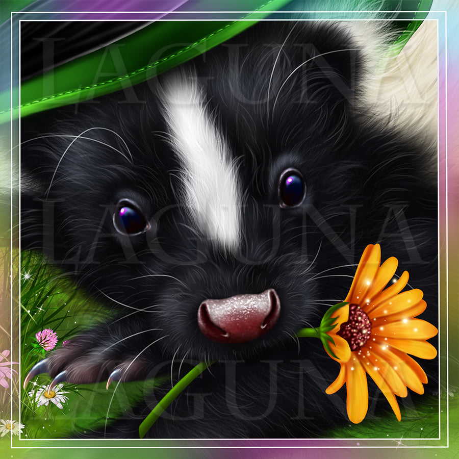 Little Skunk