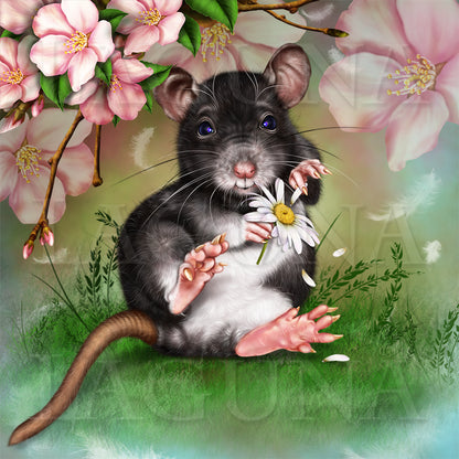 Loves me, loves me not