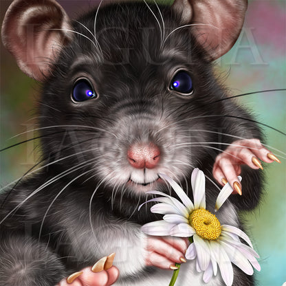 Loves me, loves me not