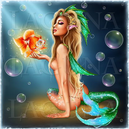 Mermaid and Goldfish