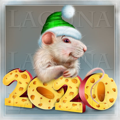 Mouse 2020